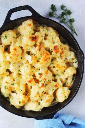 Garlic cauliflower gratin with a crispy golden topping in a white baking dish." Garlic cauliflower gratin with a crispy golden topping in a white baking dish.