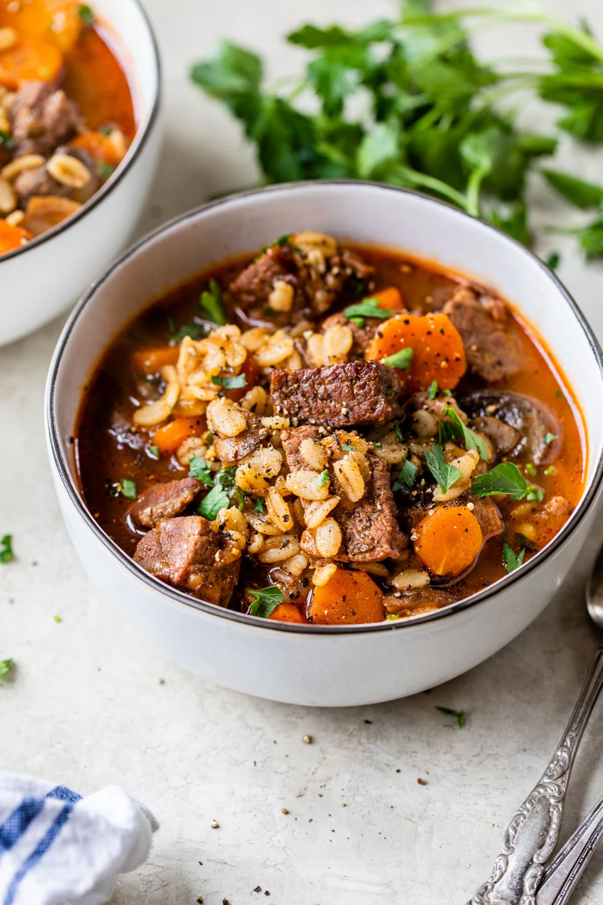 Hearty Beef and Barley Stew in a bowl, garnished with parsley, perfect for cold weather dinners.