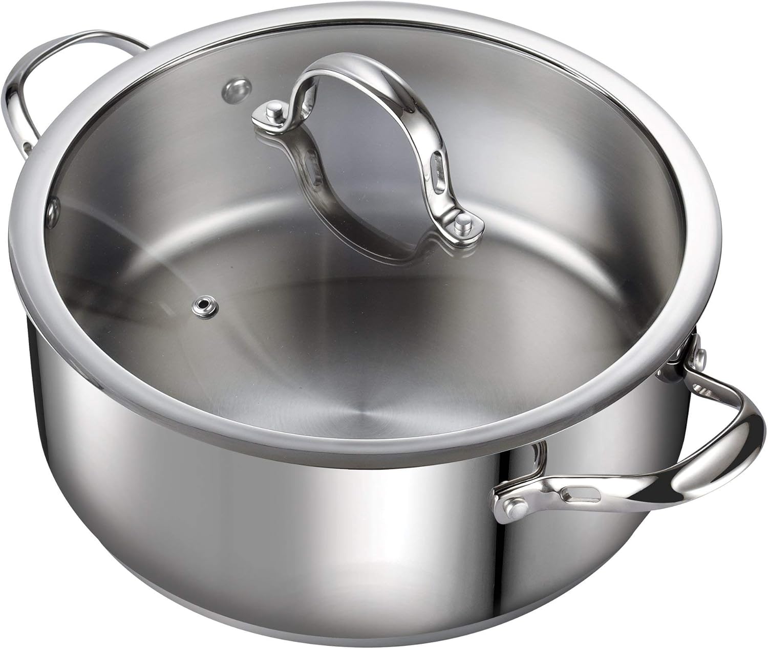 Stainless Steel Dutch Oven